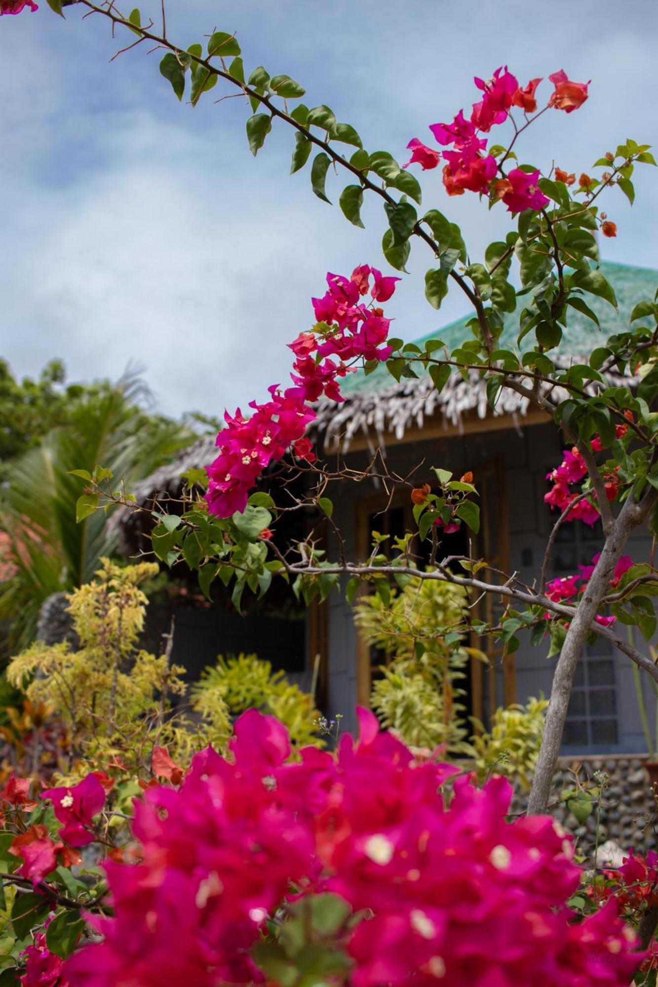 Rhenmart-Inn Siquijor Buitenkant foto